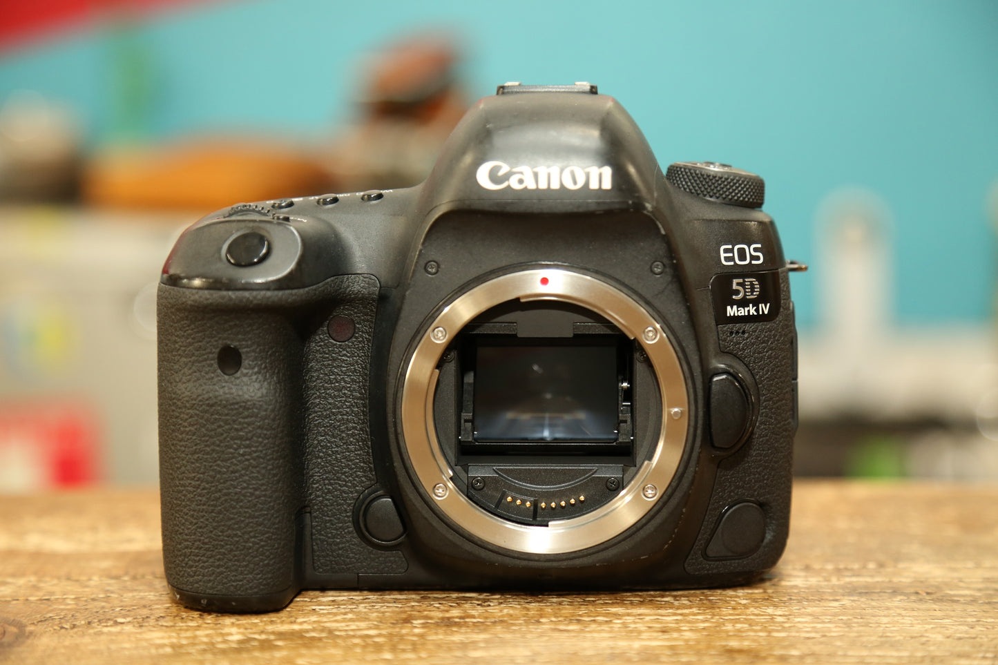 EOS 5D Mark Ⅳ No.00004