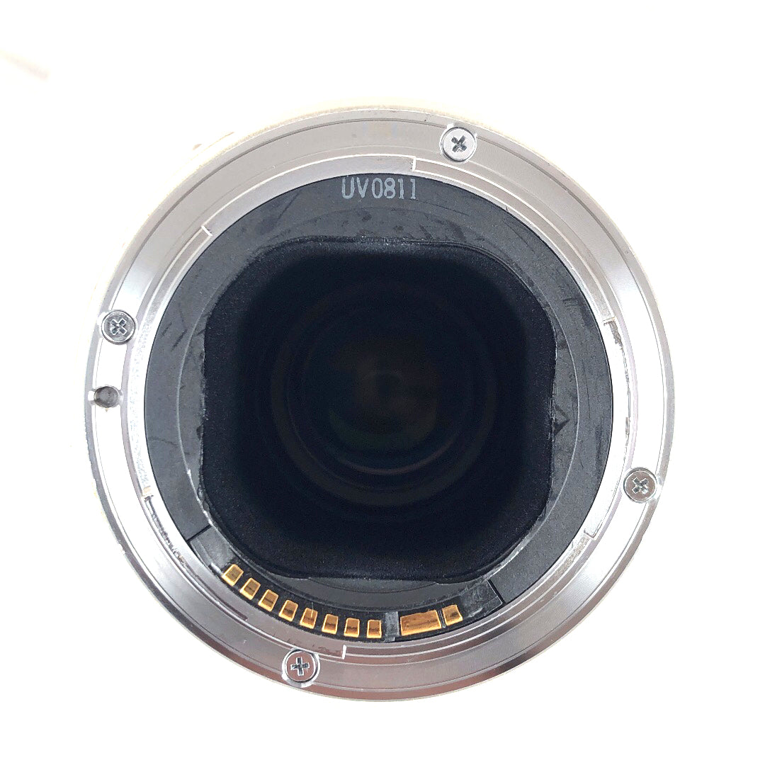 EF300mm F4L IS USM No.00269
