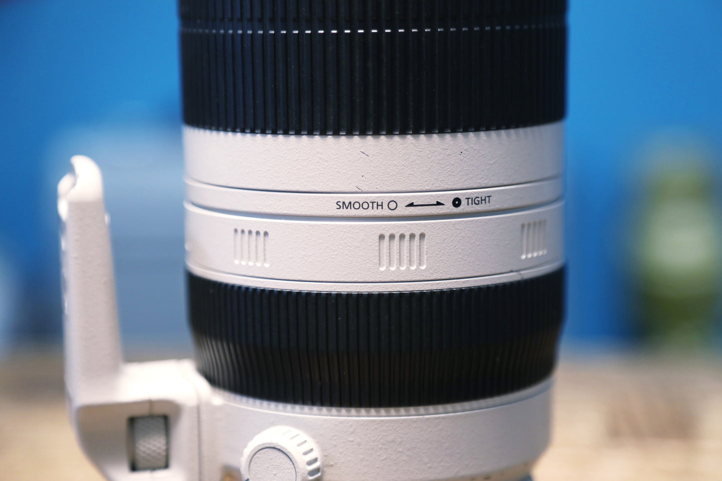 EF100-400mm F4.5-5.6L IS Ⅱ USM　No.00035