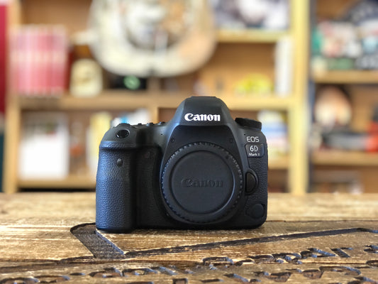 EOS 6D MARKⅡ　No.00257