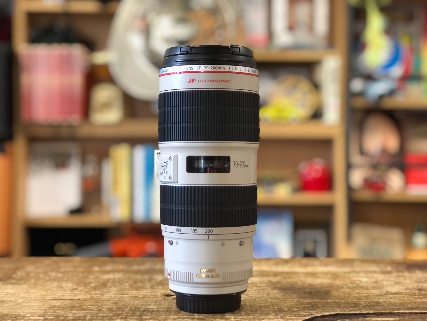 EF70-200mm F2.8L IS Ⅱ USM　No.00290