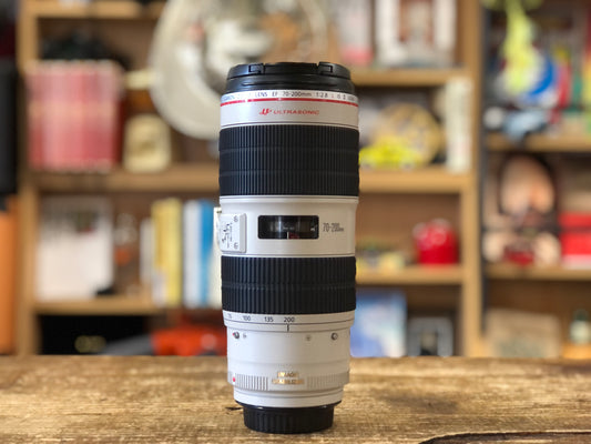 EF70-200mm F2.8L IS Ⅱ USM　No.00290