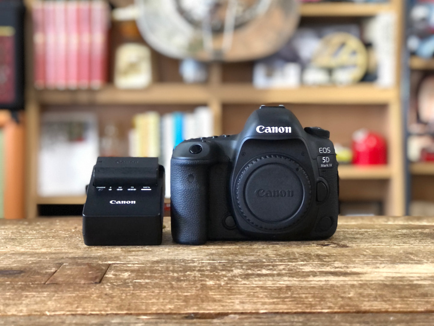 EOS 5D Mark Ⅳ　No.00312