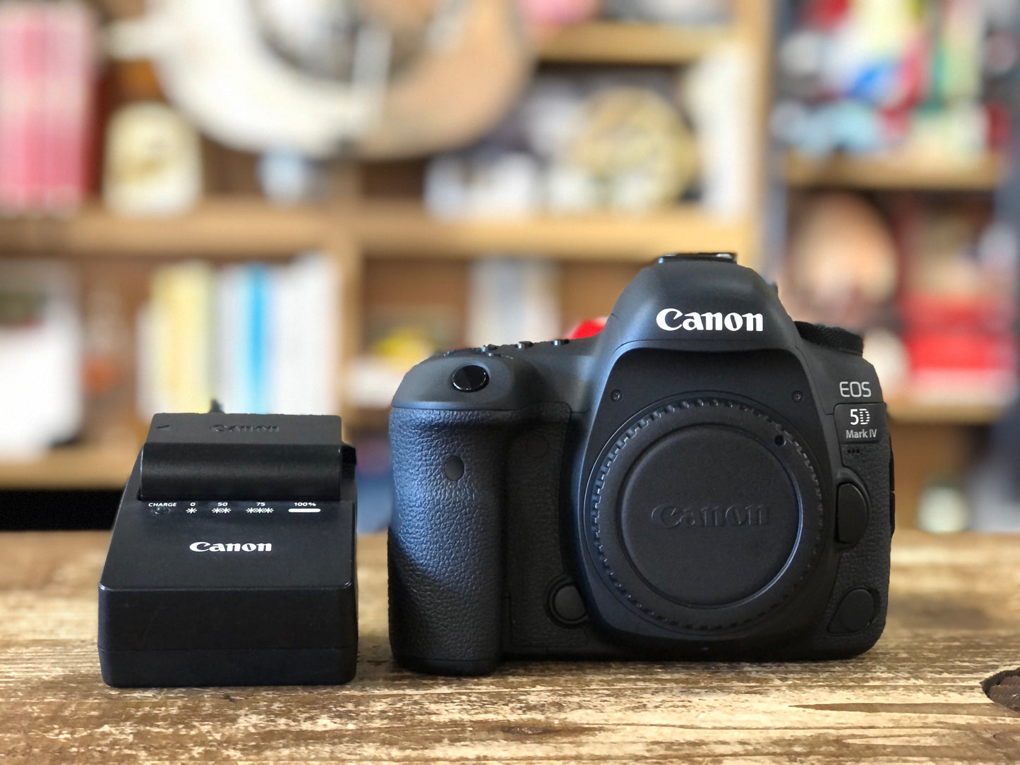 EOS 5D Mark Ⅳ　No.00311