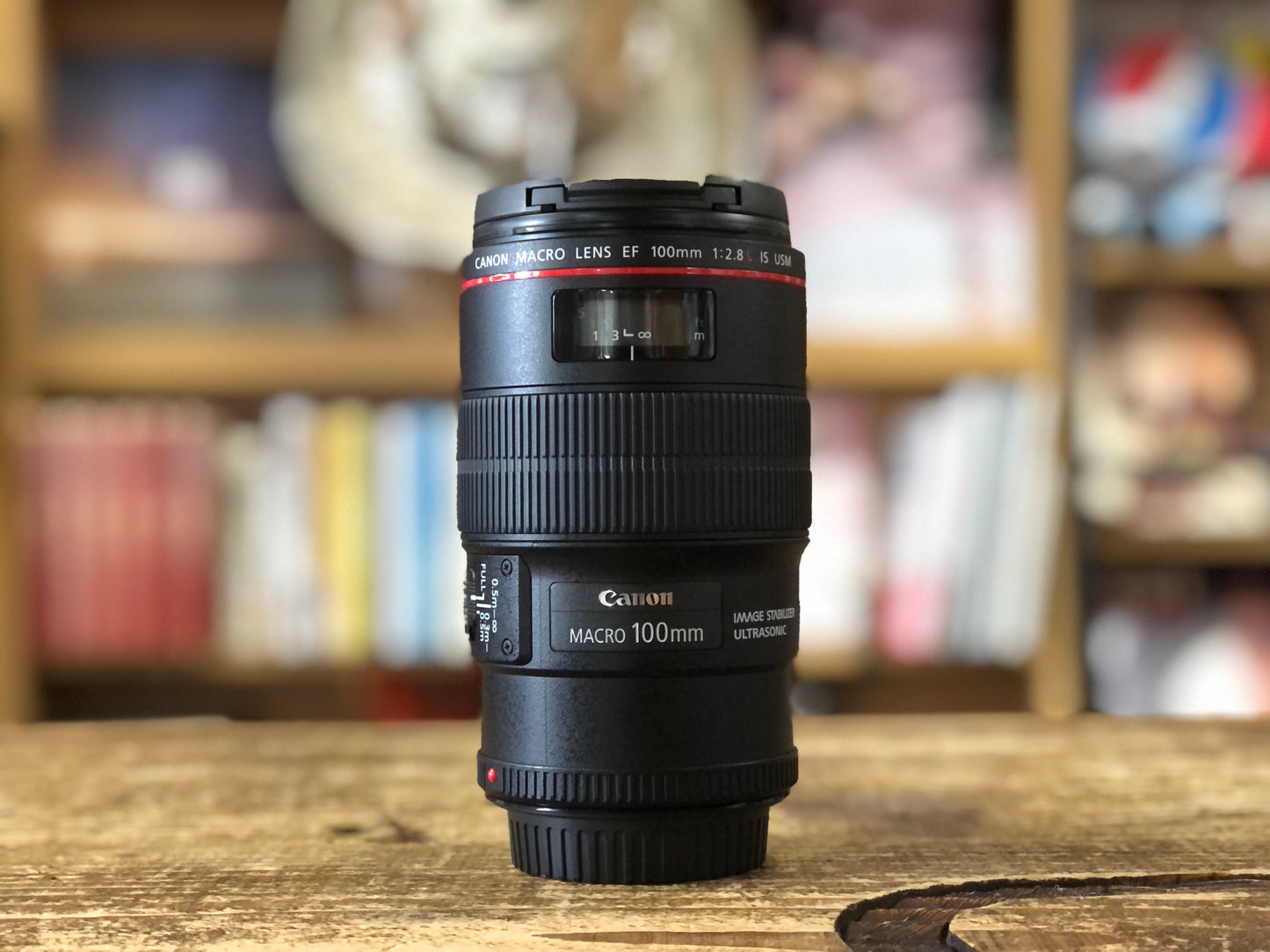 EF100mm F2.8L マクロ IS USM　No.00319
