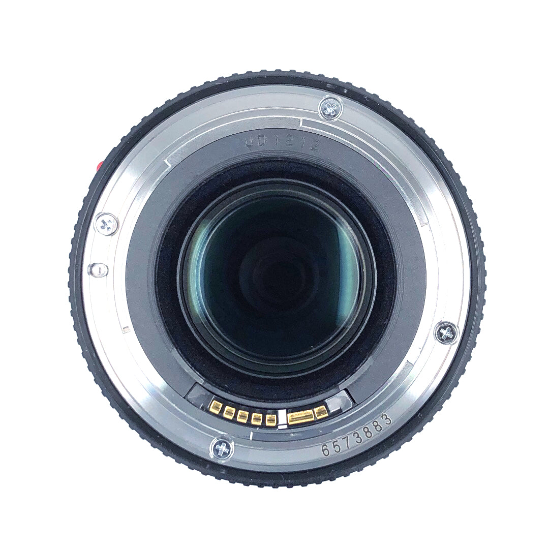 EF100mm F2.8L マクロ IS USM　No.00319